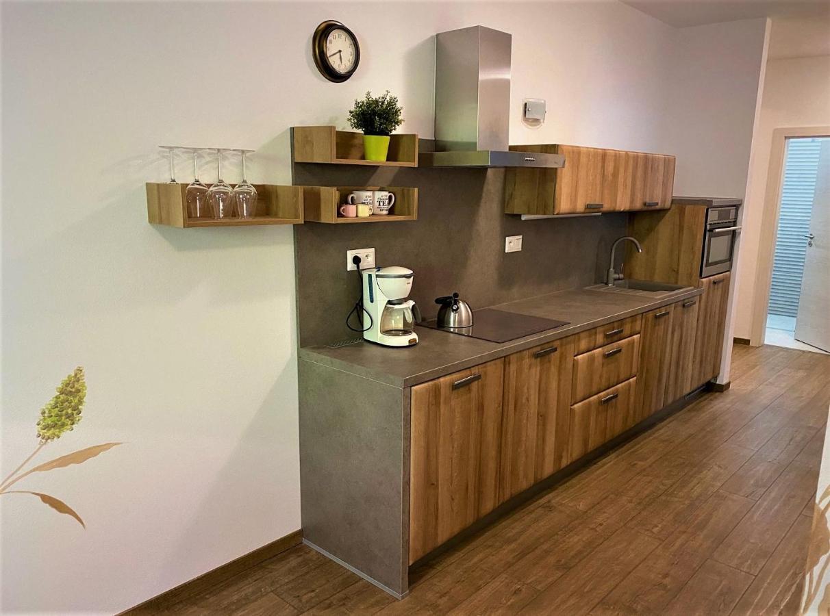 Chopok Juh - Ambiente Apartment タレ エクステリア 写真